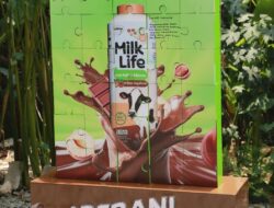 Peluncuran Choco Hazelnut: Susu Bebas Laktosa oleh MilkLife