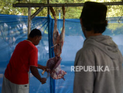 Penyembelihan Kurban Harus Dilakukan dengan Benar Sesuai Aspek Kehalalan