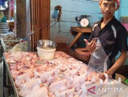 Cara Marinasi Ayam Sederhana untuk Hindari Keracunan