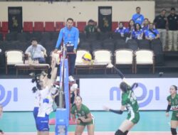 Daftar Pemain Unggulan Yogya Falcons di Debut Proliga 2025