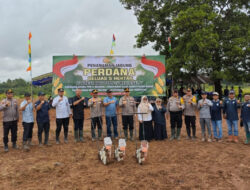 Optimalkan Lahan Replanting Sawit dengan Kolaborasi Polri untuk Tanam Jagung