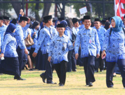 Peluang Lanjut Karir Bagi Honorer Terkena PHK