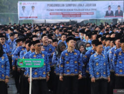 Pelantikan Honorer Menjadi PPPK 2024: Tahap 1 Sebelum Lebaran