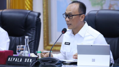 Usulan Penetapan NIP CPNS & PPPK 2024: Polemik dan Harapan