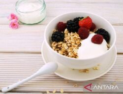 10 Makanan Otak Bayi Untuk Perkembangan Optimal