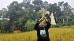 Arista Montana Tunjukkan Pertanian Bisa Jadi Aksi Sosial