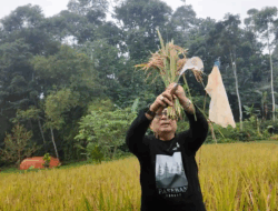Arista Montana Tunjukkan Pertanian Bisa Jadi Aksi Sosial